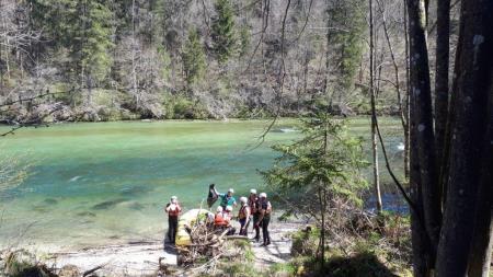 Čiščenje bregov Save